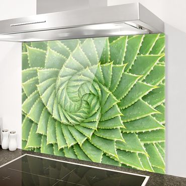 Panel szklany do kuchni - Aloes spiralny