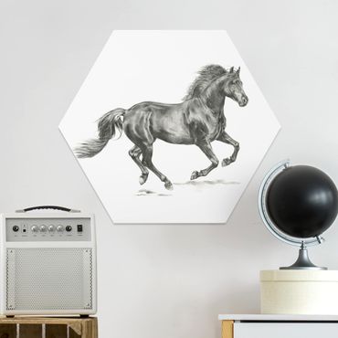 Obraz heksagonalny z Forex - Studium dzikiego konia - ogier