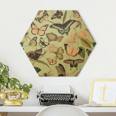 Obraz heksagonalny z Alu-Dibond - Kolaże w stylu vintage - Motyle i ważki