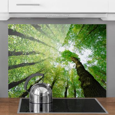 Panel szklany do kuchni - Drzewa życia