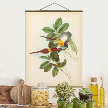 Plakat z wieszakiem - Ilustracja w stylu vintage Ptaki tropikalne III