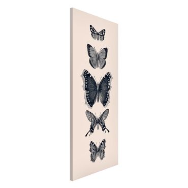 Tablica magnetyczna - Motyle z atramentu na beżowym tle