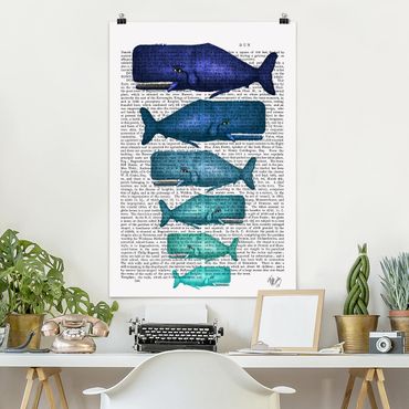 Plakat - Czytanie o zwierzętach - Rodzina wielorybów