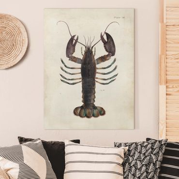 Obraz na płótnie - Ilustracja homara w stylu vintage