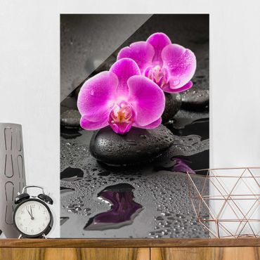 Obraz na szkle - Kwiaty różowej orchidei na kamieniach z kroplami