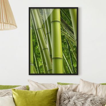 Plakat w ramie - Drzewa bambusowe Nr 2