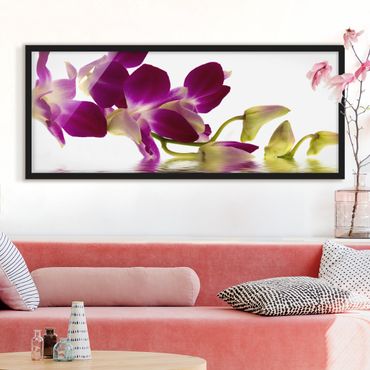 Plakat w ramie - Wody różowej orchidei