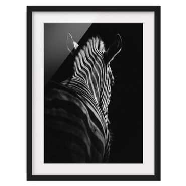 Plakat w ramie - Sylwetka zebry ciemnej