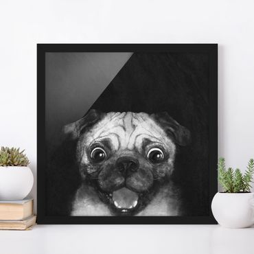 Plakat w ramie - Ilustracja pies Pug malarstwo na czarno-biały