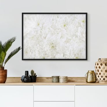 Plakat w ramie - Dahlie Morze kwiatów białe