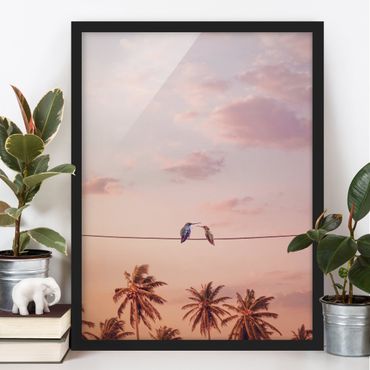 Plakat w ramie - Zachód słońca z kolibrami