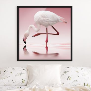 Plakat w ramie - Taniec flamingów