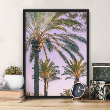 Plakat w ramie - Palmy w promieniach zachodzącego słońca