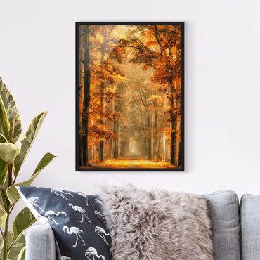 Plakat w ramie - Bajkowy las jesienią