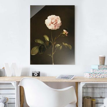 Obraz na szkle - Barbara Regina Dietzsch - Róża octowa z trzmielem