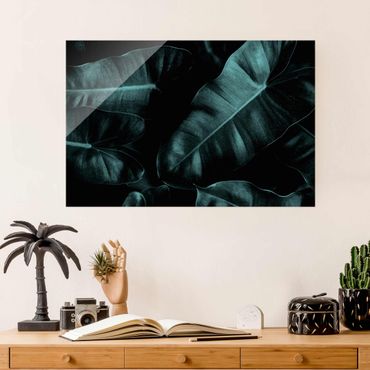 Obraz na szkle - Liście dżungli ciemnozielone