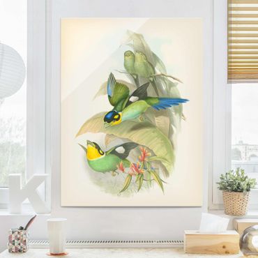 Obraz na szkle - Ilustracja w stylu vintage - ptaki tropikalne