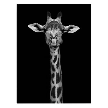 Obraz na płótnie - Portret ciemnej żyrafy