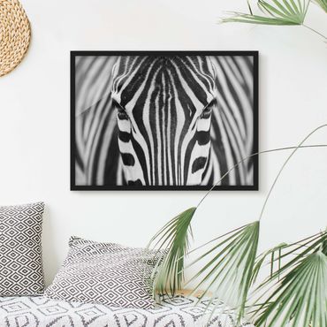 Plakat w ramie - Zebra Look