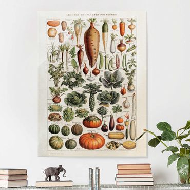 Obraz na szkle - Tablica edukacyjna w stylu vintage Warzywa