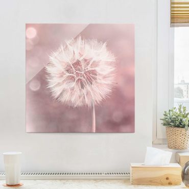 Obraz na szkle - dandelion bokeh różowy