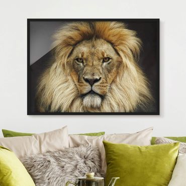 Plakat w ramie - Mądrość lwa