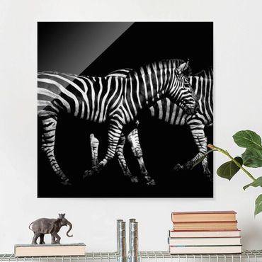 Obraz na szkle - Zebra przed Czarnym