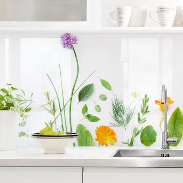 Panel ścienny do kuchni - Zioła i kwiaty