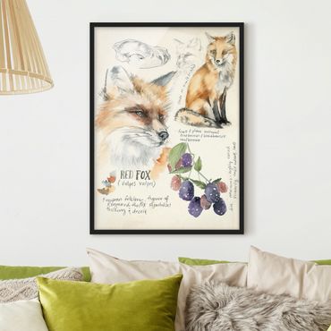 Plakat w ramie - Dziennik Dzikiej Przyrody - Fox