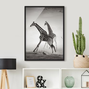 Plakat w ramie - Polowanie na żyrafę