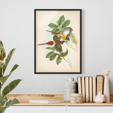 Plakat w ramie - Ilustracja w stylu vintage Ptaki tropikalne III