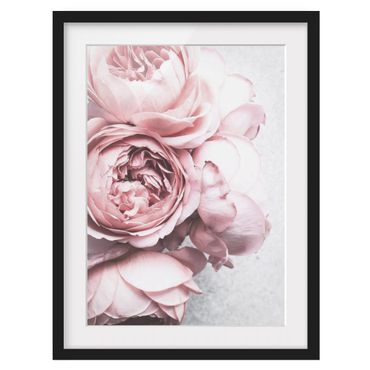 Plakat w ramie - Kwiaty różowej piwonii Shabby Pastel