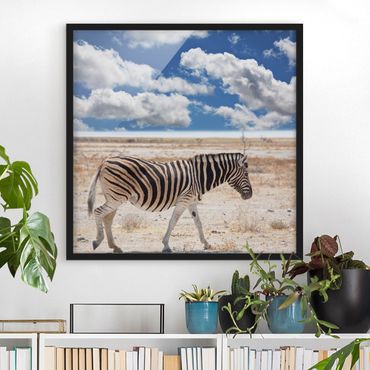 Plakat w ramie - Zebra na sawannie