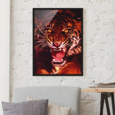 Plakat w ramie - Dziki tygrys