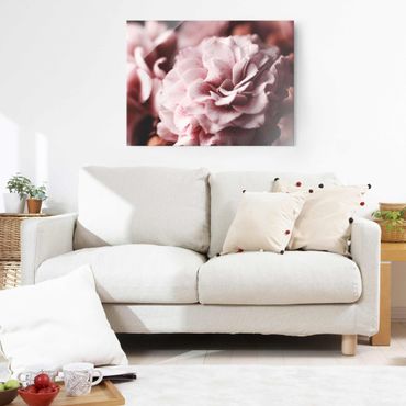 Obraz na szkle - Pastelowa róża Shabby Pink