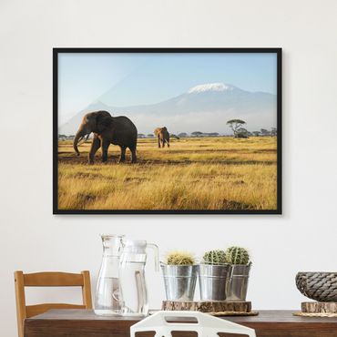 Plakat w ramie - Słonie na tle Kilimandżaro w Kenii