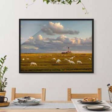 Plakat w ramie - Latarnia morska na Morzu Północnym ze stadem owiec