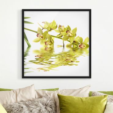 Plakat w ramie - Eleganckie wody orchidei
