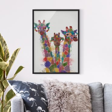 Plakat w ramie - Rainbow Splash Żyrafa Trio