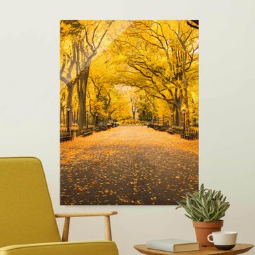 Obraz na szkle - Jesień w Central Parku
