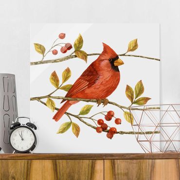 Obraz na szkle - Ptaki i jagody - Czerwony kardynał