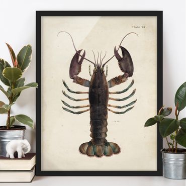 Plakat w ramie - Ilustracja homara w stylu vintage