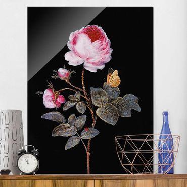 Obraz na szkle - Barbara Regina Dietzsch - Róża stulistna