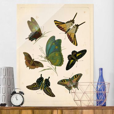 Obraz na szkle - Ilustracja w stylu vintage Motyle egzotyczne