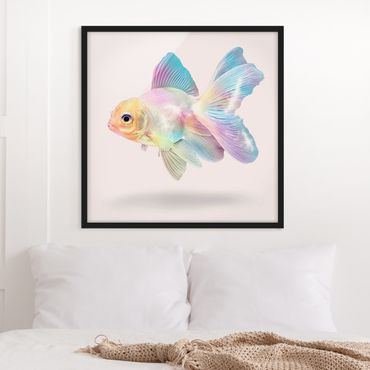 Plakat w ramie - Ryby w pastelach