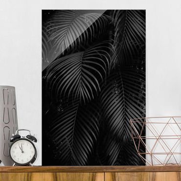 Obraz na szkle - Czarne liście palmy