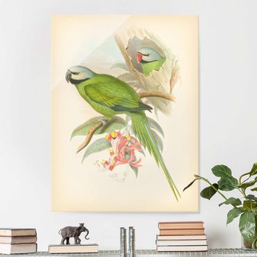 Obraz na szkle - Ilustracja w stylu vintage Ptaki tropikalne II