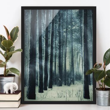 Plakat w ramie - Mistyczny las zimowy