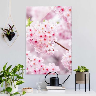 Obraz na szkle - Japońskie kwiaty wiśni
