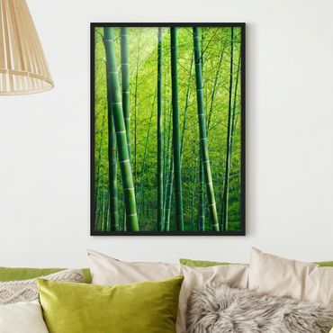 Plakat w ramie - Las bambusowy